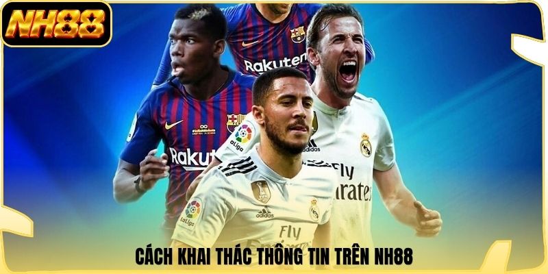 Cách khai thác thông tin trên NH88