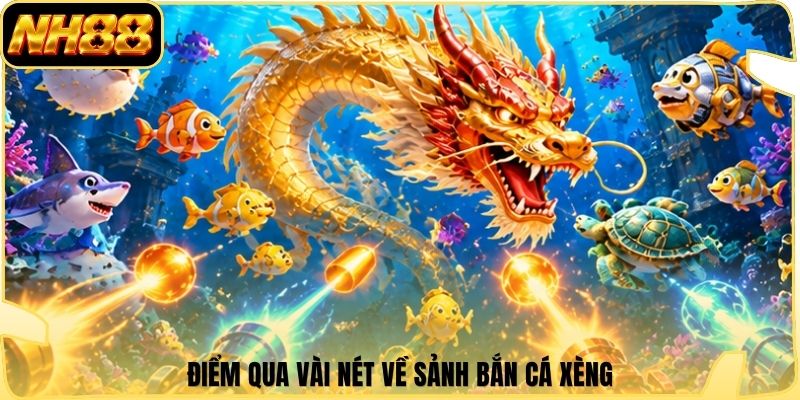 Điểm qua vài nét về sảnh bắn cá xèng